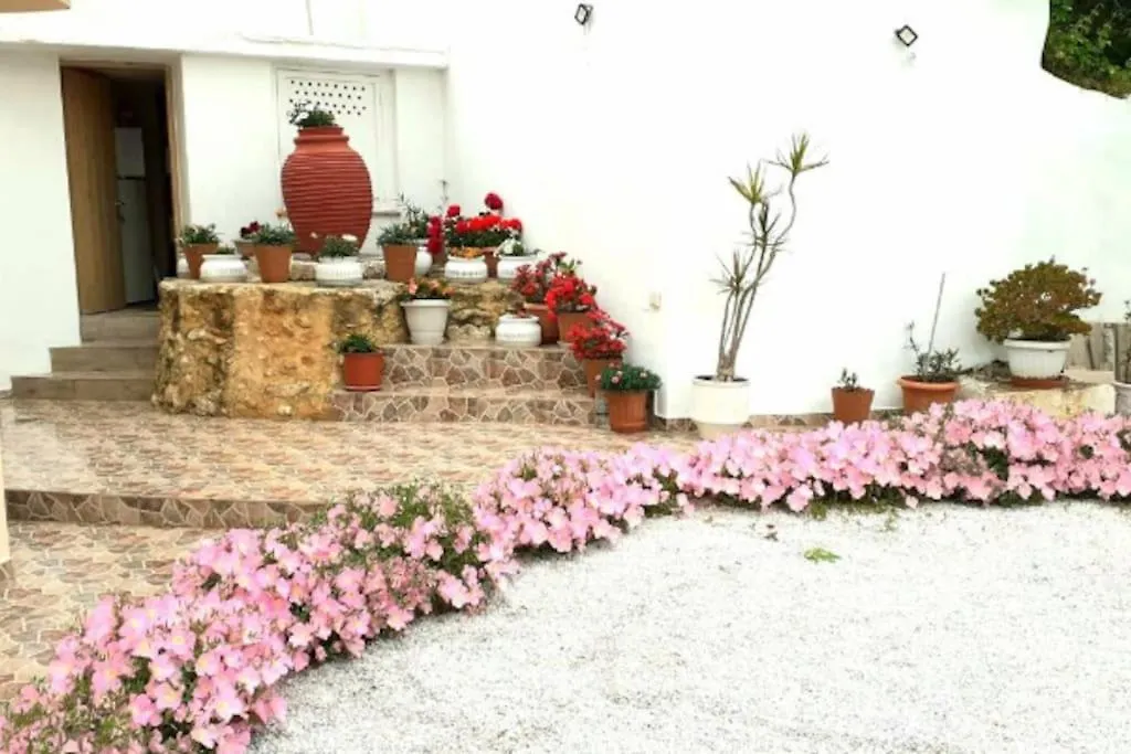 Newly Reconstructed Flat 107Sqm! Lejlighed Chania