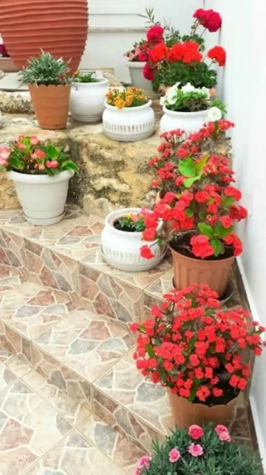 Newly Reconstructed Flat 107Sqm! Apartment Chania  0*, Chania (Crete)